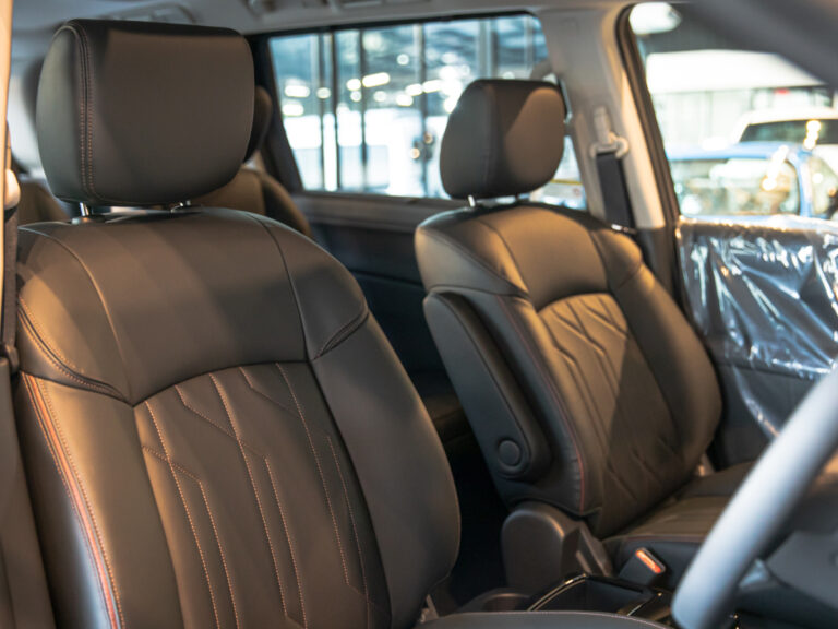 japanvip-Nissan Elgrand-2